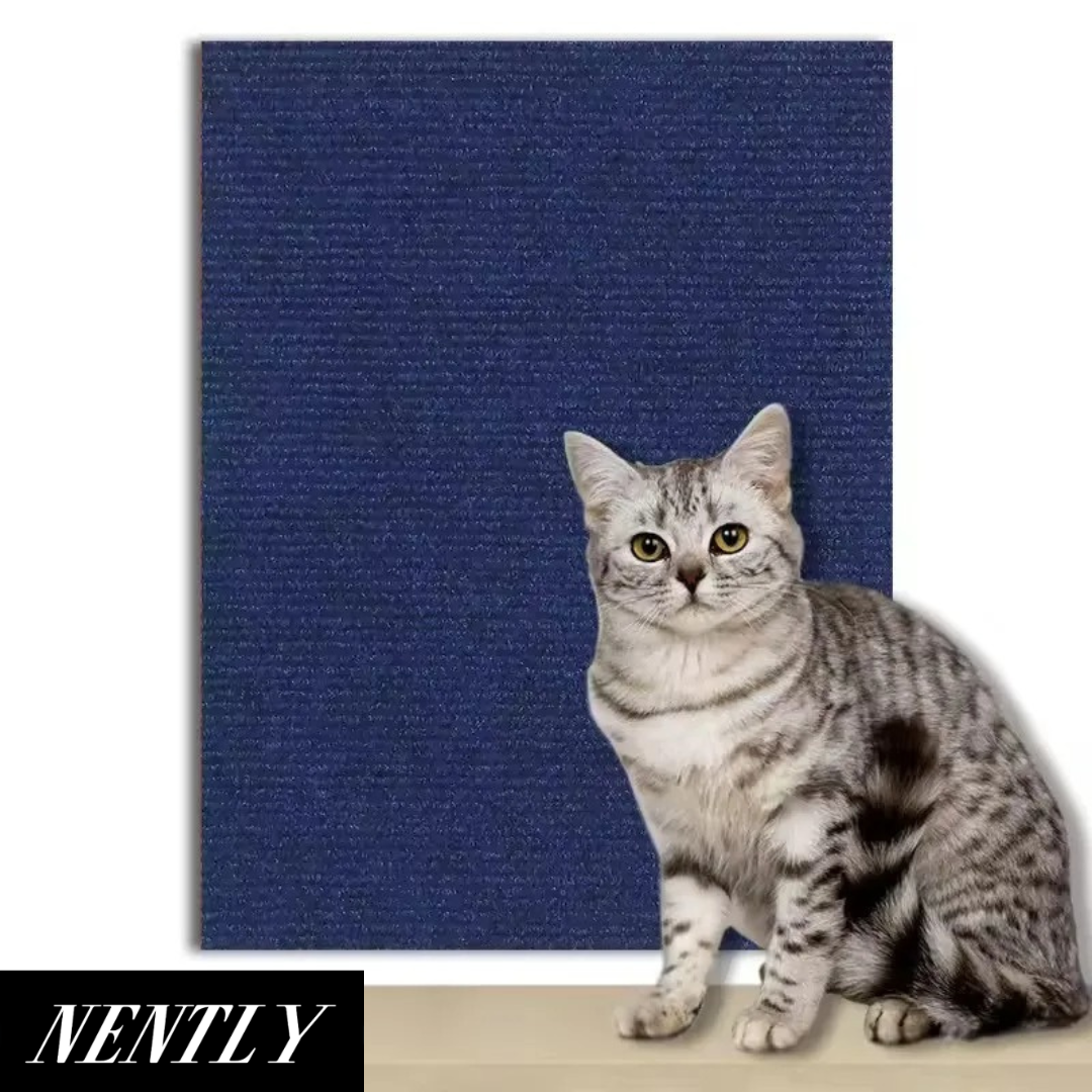 Nently ScratchGuard™