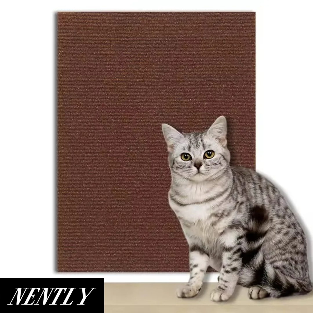 Nently ScratchGuard™