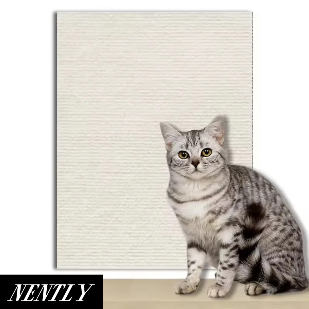Nently ScratchGuard™