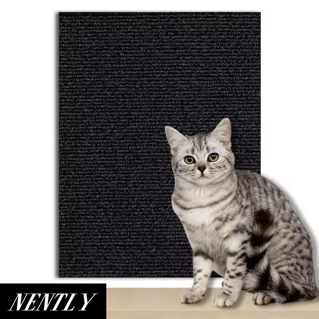 Nently ScratchGuard™