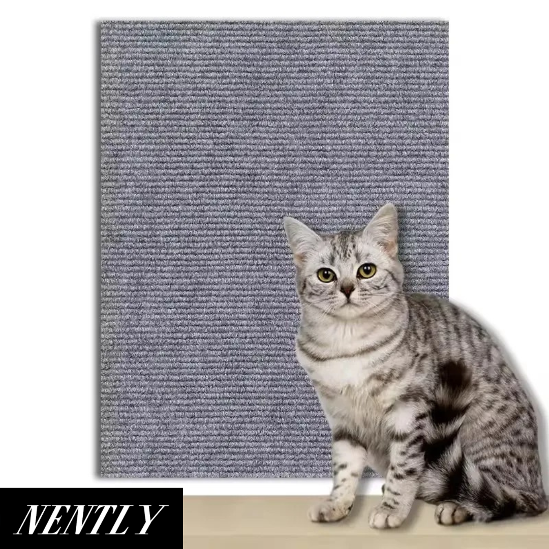 Nently ScratchGuard™