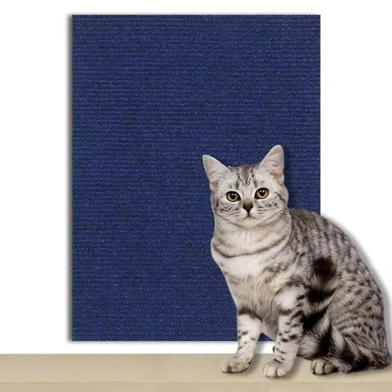 Nently ScratchGuard™