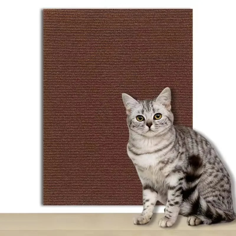 Nently ScratchGuard™