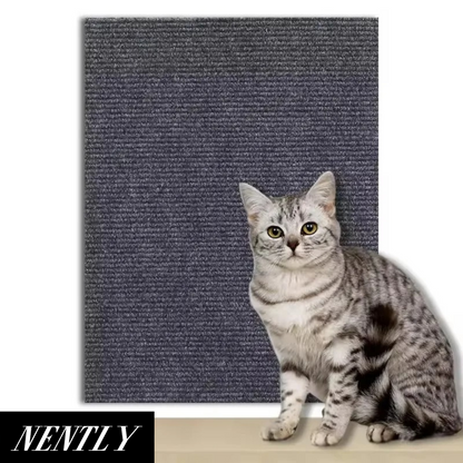 Nently ScratchGuard™