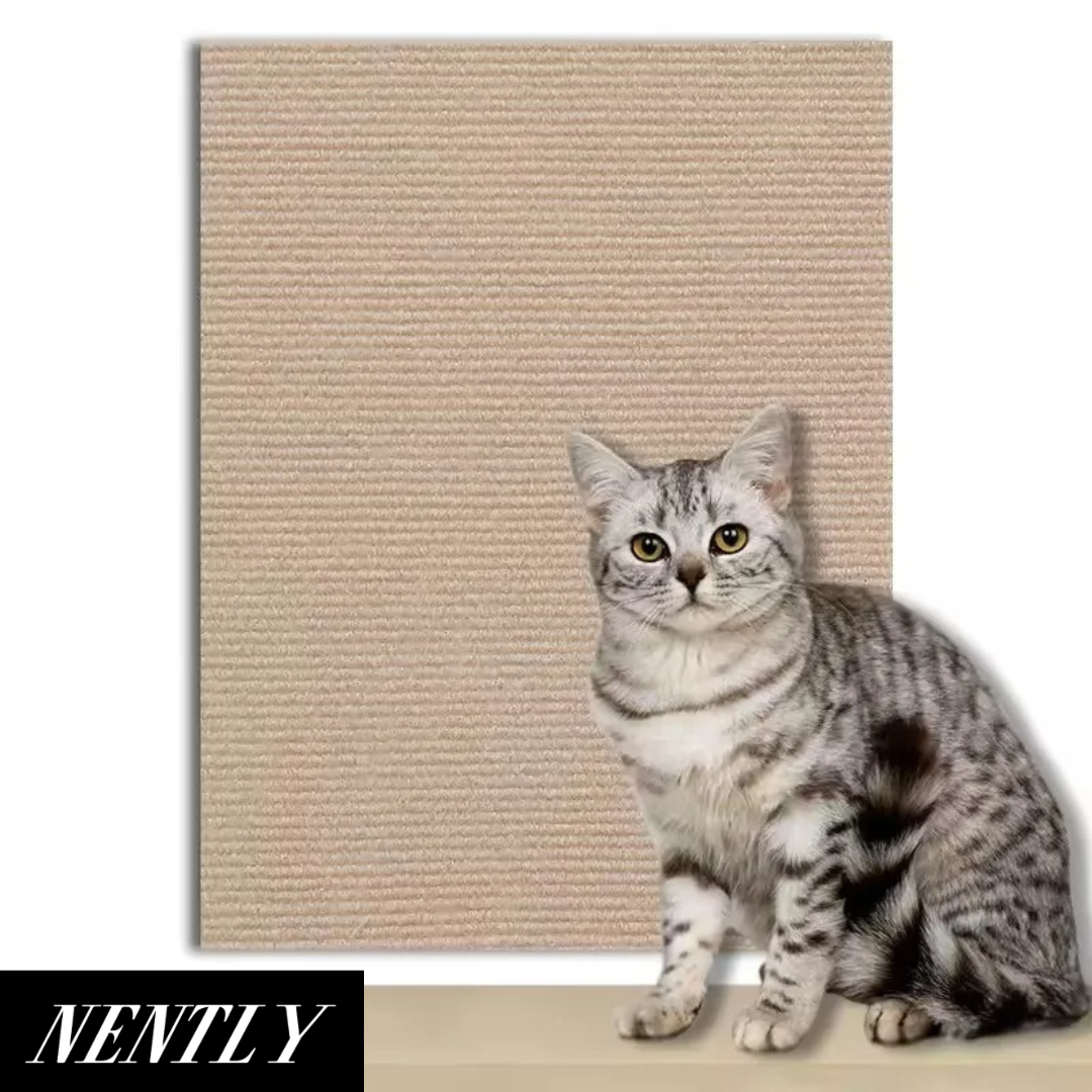 Nently ScratchGuard™