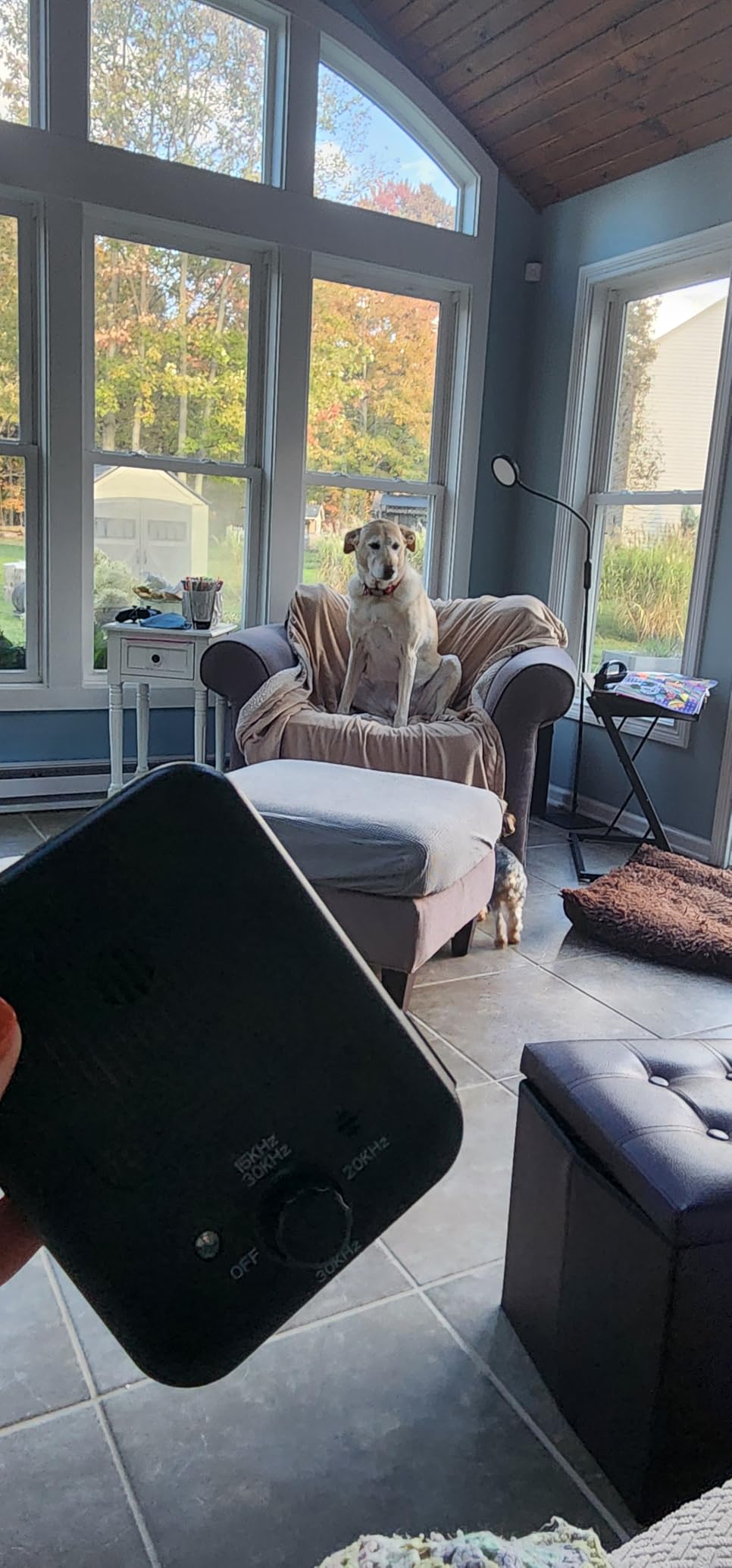 Nently Anti-Bark 2.0™