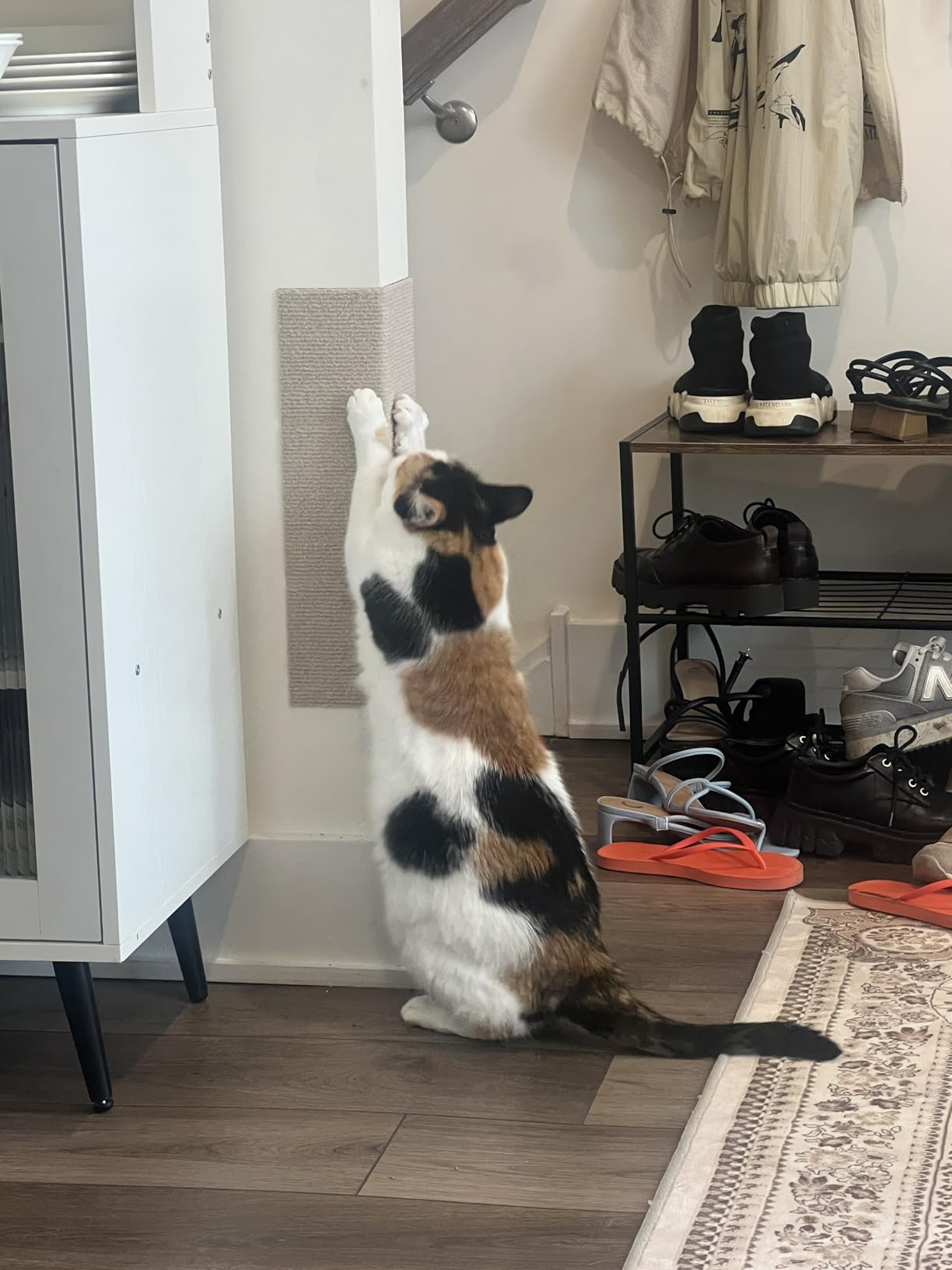 Nently ScratchGuard™