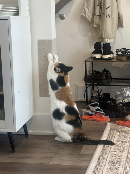 Nently ScratchGuard™